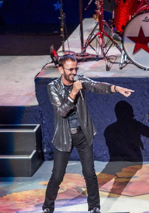 ringolive1.jpg